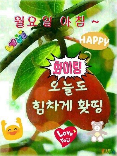◆ 쉬어가는 삶 ◆