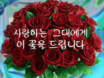 ◆ 미워하지 말고 잊어버려라 ◆