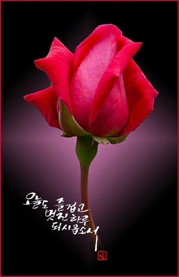 ◆ 특별한 행복 ◆