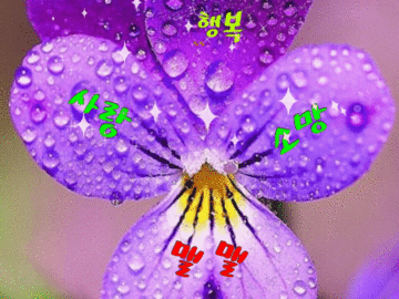 ◆ 이것 또한 지나가리라 ◆