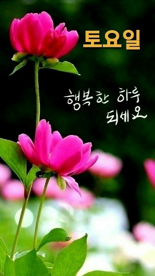 ◆ 삶의 끝에 와서야 알게 된 것들 ◆