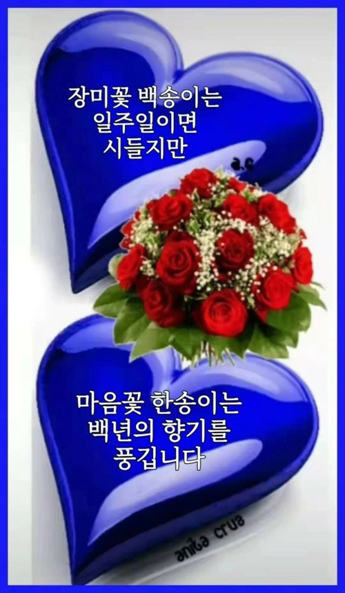 ◆ 좋아하는걸까? 사랑하는걸까? ◆