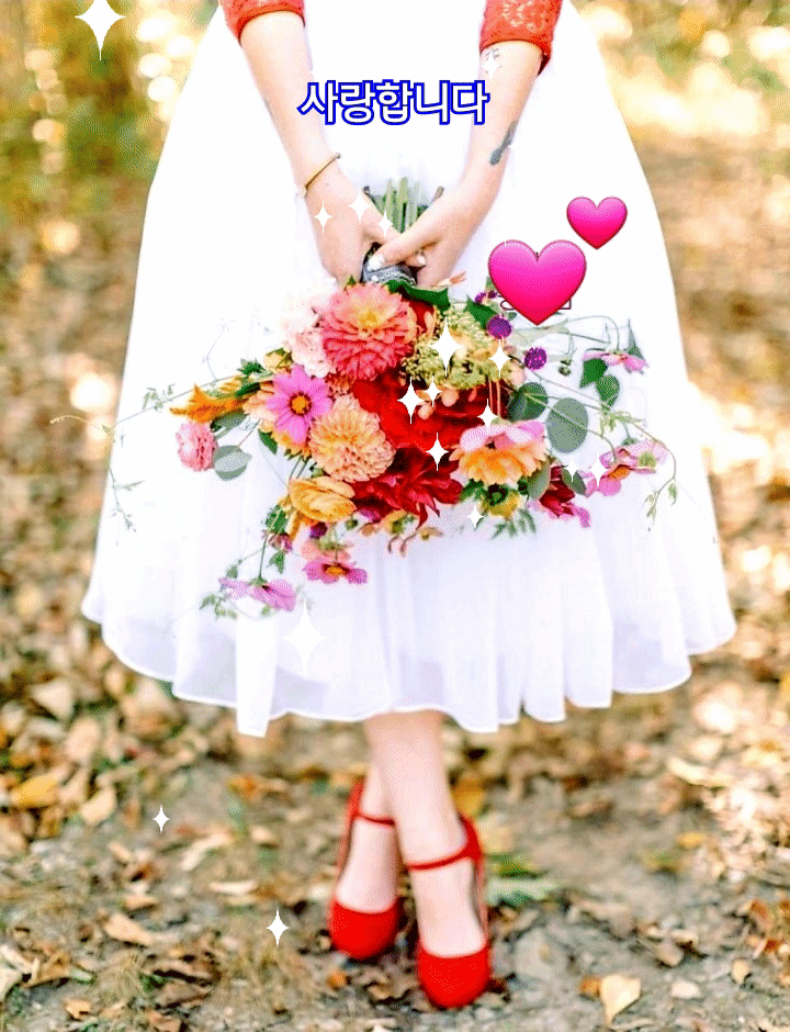 ◆ 안 되는 일에 마음을 쓰지 말라 ◆