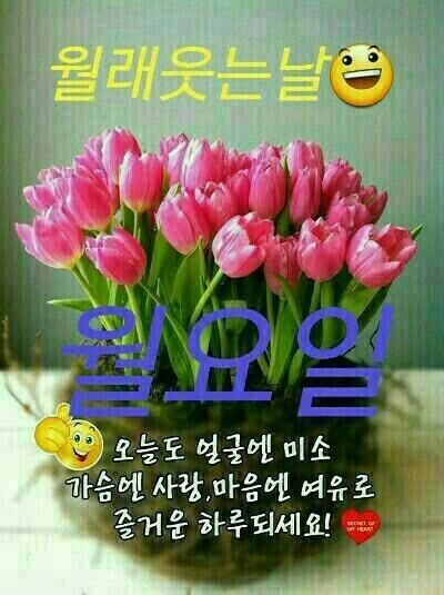 ◆ 오늘은 참 보고 싶습니다 ◆