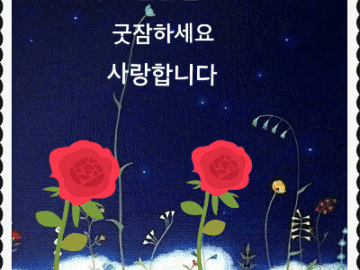 ◆ 하루 살이 ◆